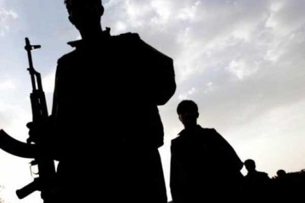 Van'da 2 PKK'lı öldürüldü