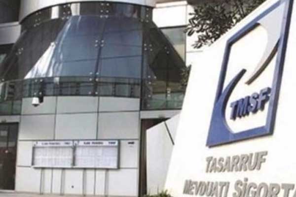 TMSF'ye devredilen şirketlerle ilgili yeni karar