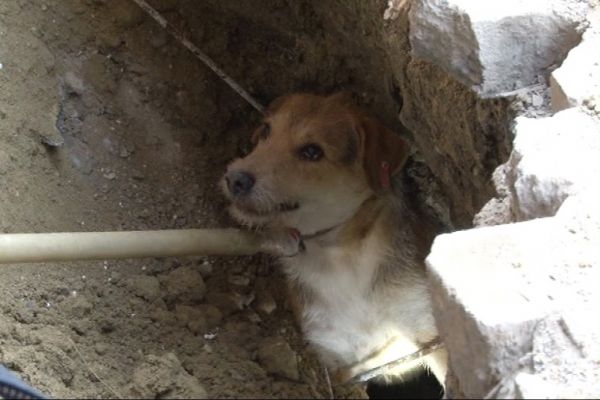 İstanbul'da inşaat işçilerinin dikkati hayat kurtardı