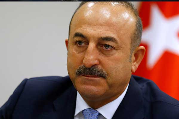 Çavuşoğlu: Haddini aşan açıklamalar görüyoruz