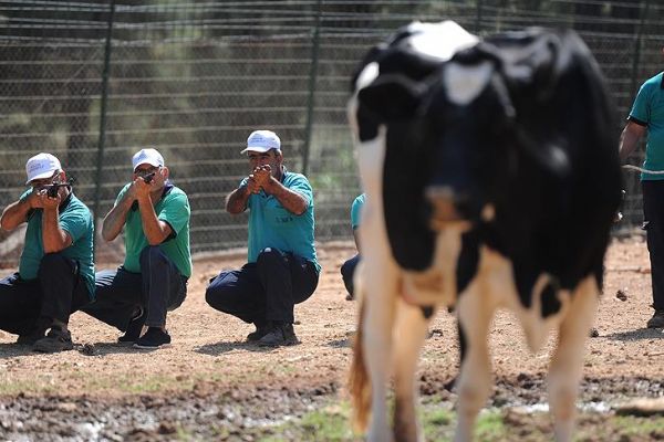 Gaziantep'te drone destekli kurban yakalama timi