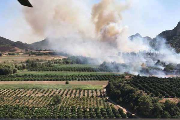 Antalya'da orman yangını