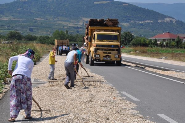 Bursa'da ayçekirdeğini kurutmak için çevre yolunu kapattılar