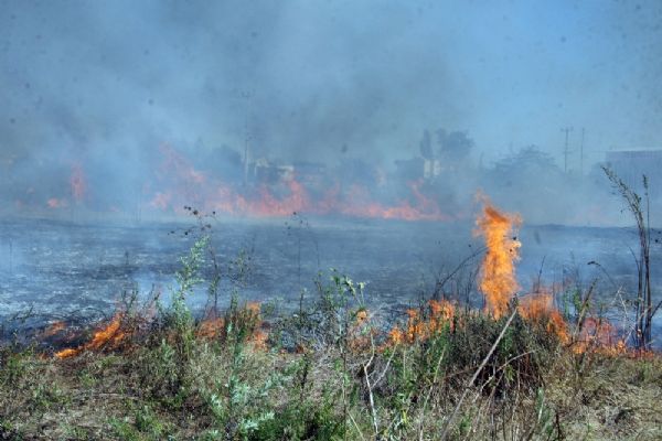 Antalya'da korkutan yangın