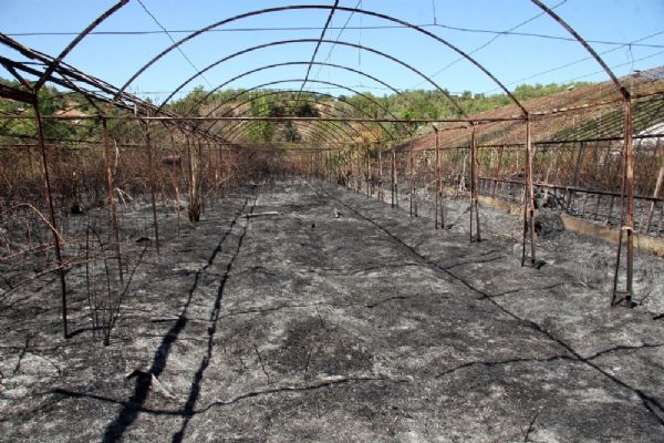 7 sera alevlere teslim oldu: Zarar 100 bin TL