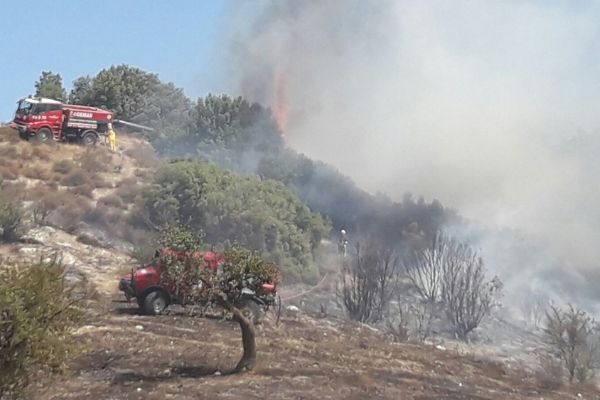 Reklam yapayım derken ormanı yaktılar