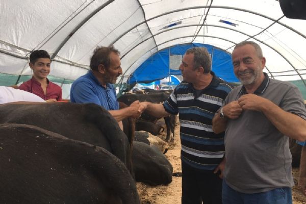 Kurban pazarının 'Paşa'sı araba fiyatına satıldı