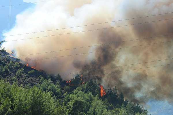 Antalya'da orman yangını korkuttu