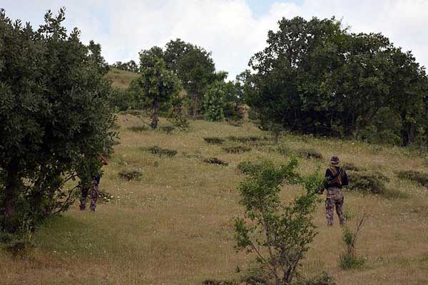 Muş ve Bitlis'te terör operasyonu