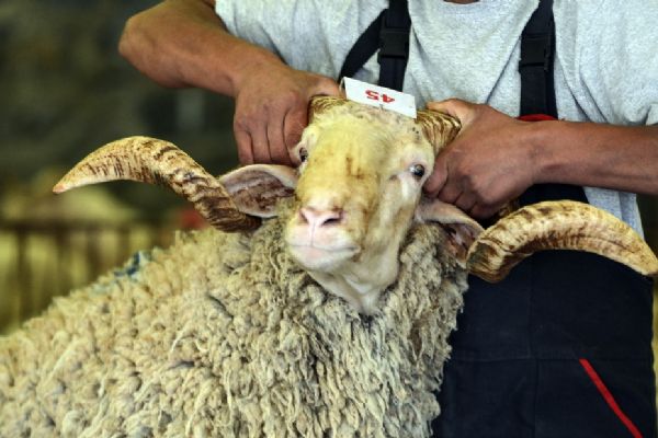 Bayramınız kabusa dönüşmesin