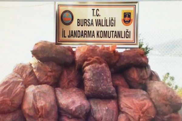 22 ton kaçak midye ele geçirildi