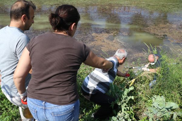 Kocaeli'de dereye bir tanker solvent döküp kaçtılar