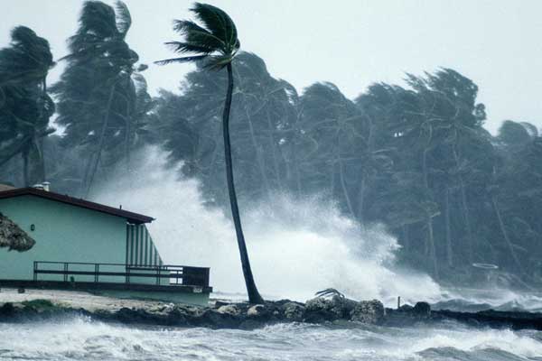 Houston'da sokağa çıkma yasağı ilan edildi