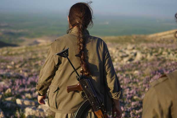 Van'da PKK operasyonu