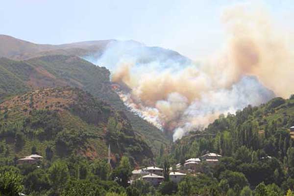 Şemdinli'nin Altınsu Köyü'nde orman yangını
