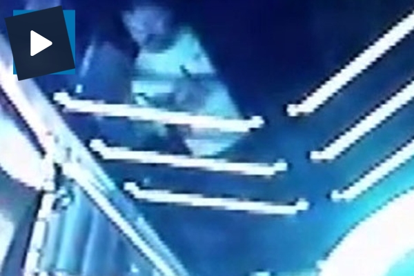 Beşiktaş'ta otobüs şoförünü dövdüler