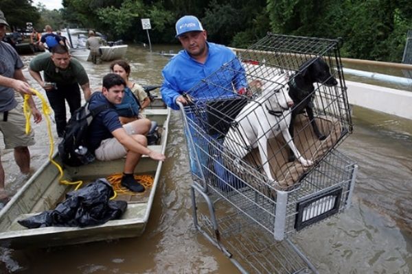Texas’ta ölü sayısı 35’e yükseldi