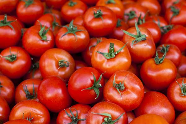 Rusya'dan domates açıklaması