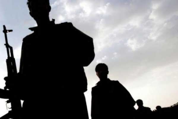 Hakkari'de 4 PKK'lı öldürüldü