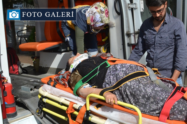 Türkiye'nin dört bir yanından 'acemi kasap' vakaları