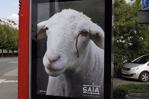 Belçika’da tepki çeken 'kurban bayramı' afişleri