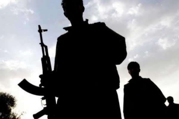 Tunceli Valiliği: 5 PKK'lı öldürüldü