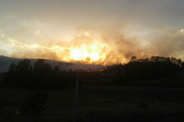 Kars'ta askeri bölgede orman yangını