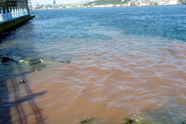 Boğaz kana büründü