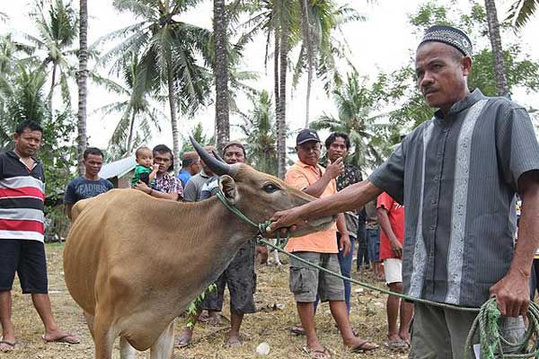 Türk STK'lardan ihtiyaç sahiplerine kurban yardımı
