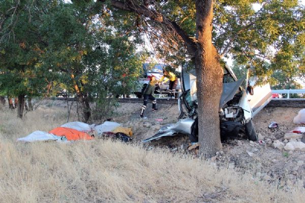 Karaman'da ticari araç ağaca çarptı: 1 ölü, 3 yaralı