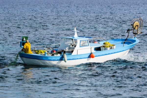 Sezonun ilk balıklarında fiyatlar nasıl?