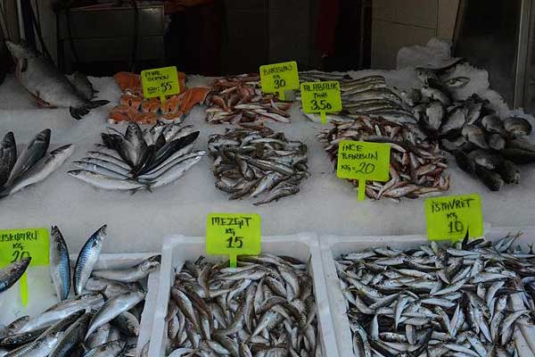 Balık tezgahları şenlendi