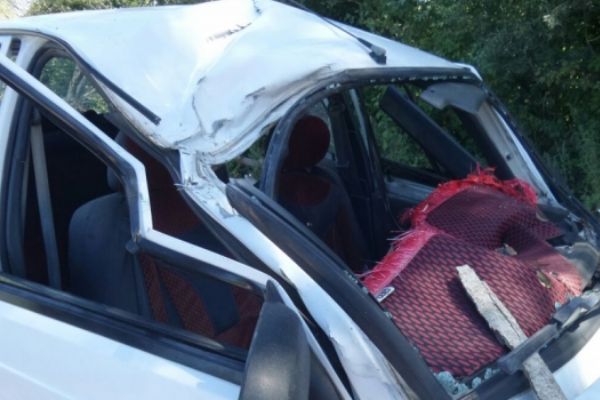 Sinop'da seyir halindeki otomobilin üstüne ağaç düştü: 1 ölü, 2 yaralı