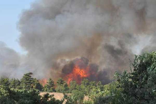 Fransa'da 460 hektar orman yangınında kül oldu