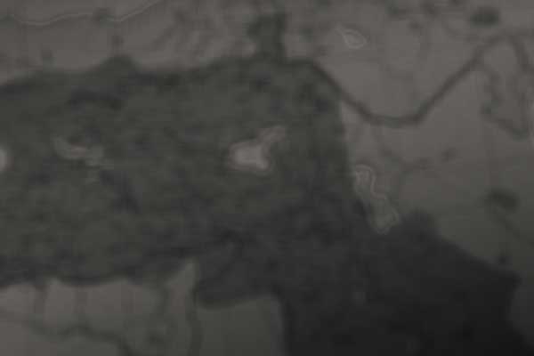 'Kürdistan 1920'lerde kurulmalıydı'