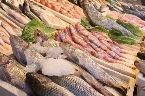 Av yasağı bitti balık fiyatları düştü