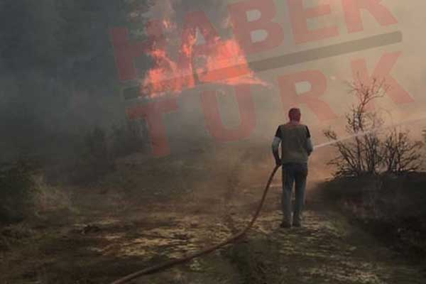 Bolu'da orman yangını