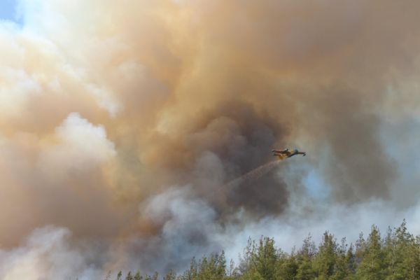 Antalya'da ciğerlerimiz yanıyor!