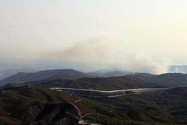 Türkmendağı'nda orman yangını