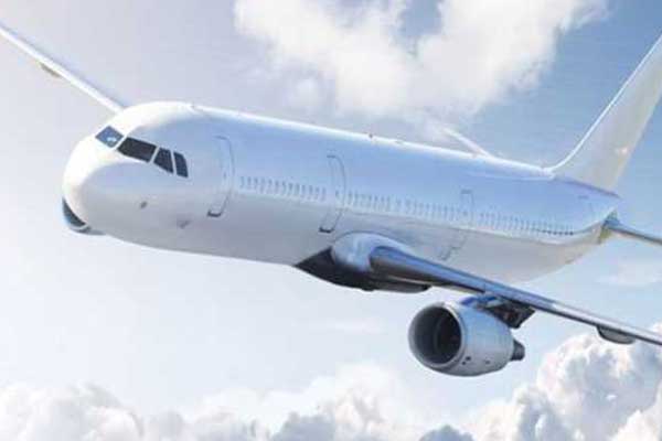 Uçakta akrep bulununca uçuş ertelendi