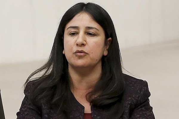 HDP Milletvekili Demirel hakkında fezleke