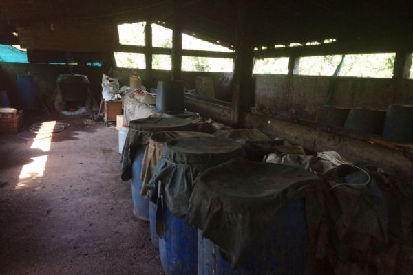 Ahırda ele geçirildi: Tam bin 800 litre !