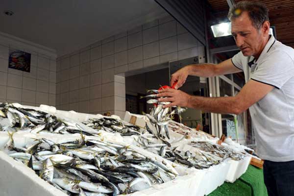 Marmara'da 40 yıl sonra bir ilk