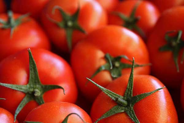 Rusya'dan domates açıklaması