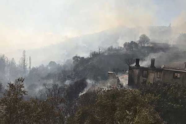 Muğla'da yangın daha da yayıldı