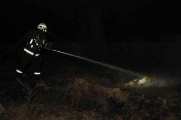 Antalya'da sazlık alanda çıkan yangın korkuttu