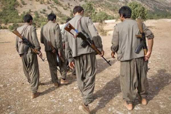 Şırnak ve Ağrı'da 7 terörist öldürüldü