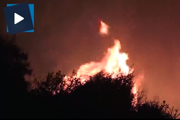 Yükselen alevlerin arasından hayvanlarını kurtardı!
