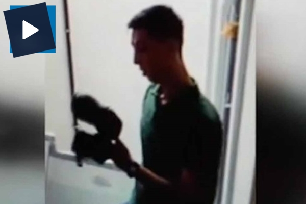 Ayakkabı hırsızı kameraya yakalandı