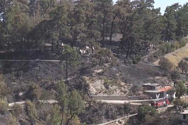 Yangında mezarlar da zarar gördü